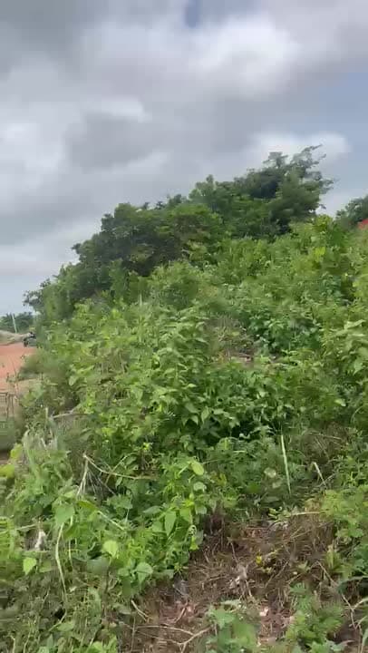 Terrain de 600 m² à vendre à Ndronkro (attestation villageoise)