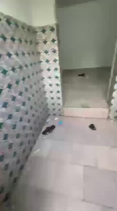 1 chambre, salon à louer