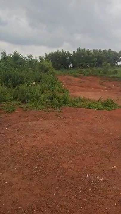 Terrain de 641 m² à vendre à Kokrenou (ACD disponible)
