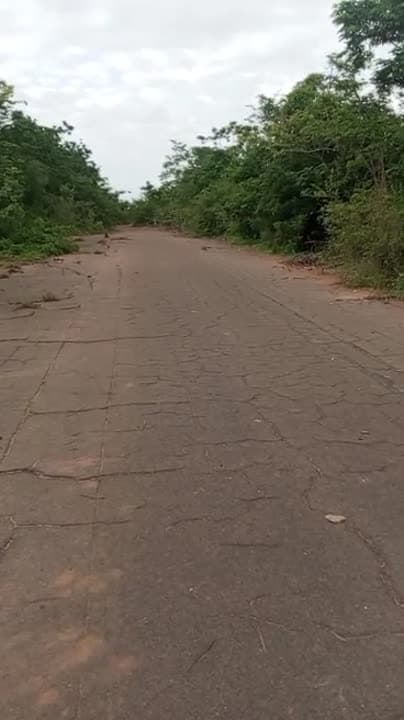 Terrain de 3000 m² à vendre à Yamoussoukro (ACD disponible)