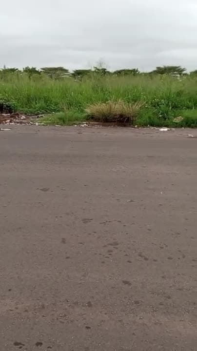 Terrain de 2 ha à vendre à Yamoussoukro 220 Logements (ACD disponible)