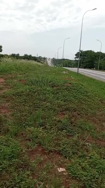 Terrain de 3 ha à vendre à Abouakouassikro (certificat foncier)