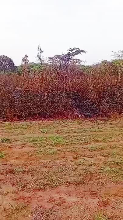 Terrain de 500 m² à vendre
