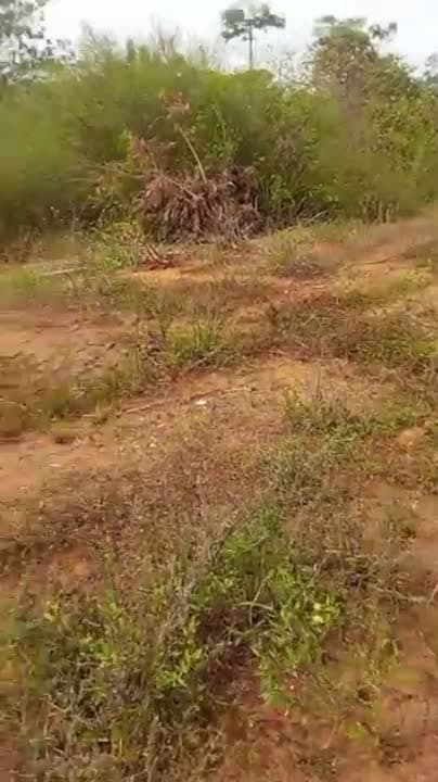 12 hectares à vendre sur l'axe Yamoussoukro-N'Zré (ACD disponible)