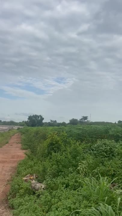 Terrain industriel de 6 ha à vendre à Asségou (certificat foncier)