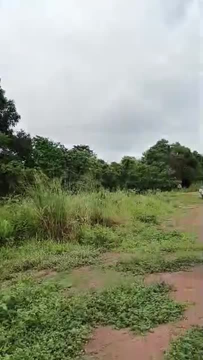 68 lots à vendre à Botro (extrait topo + attestation villageoise)