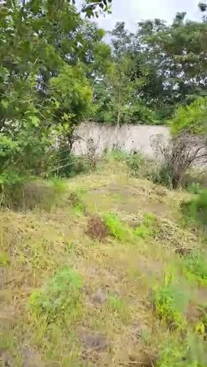 Terrain de 600 m² à vendre à Yamoussoukro N'Dènou Bodan (ACD disponible)