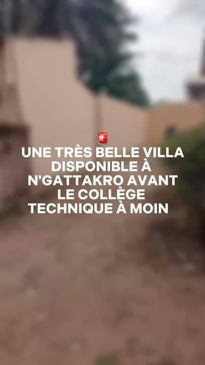 6 chambres, salon à louer