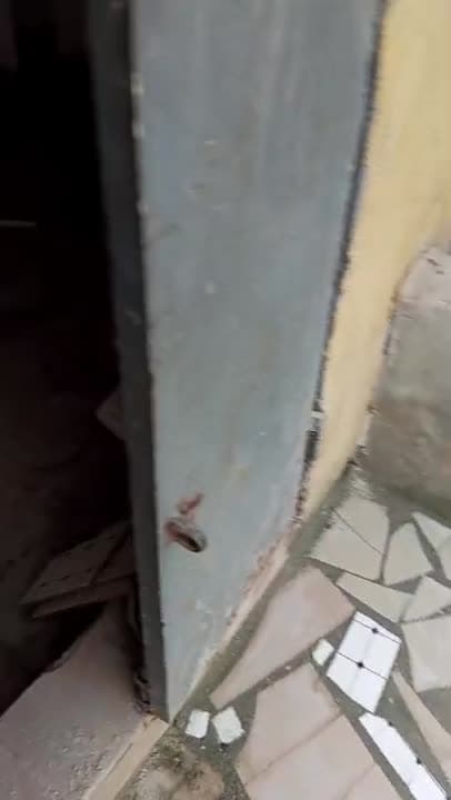 Magasin à louer