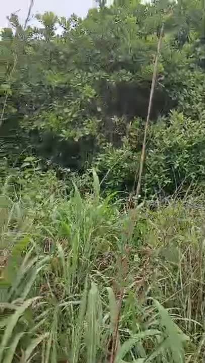 Terrain de 1600 m² à vendre à Akazakro (titre foncier)