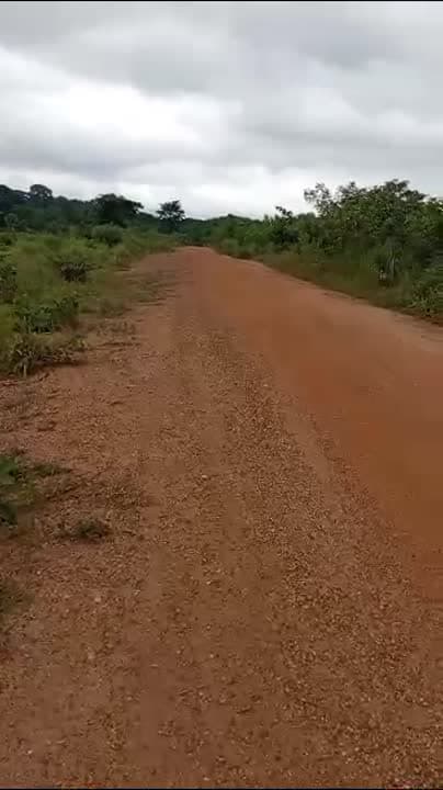 Terrain de 10 ha à vendre à N'Gbékro (ACD en cours)