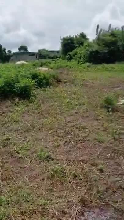 Terrain de 500 m² à vendre à Adjéyaokro (près du Campus 2)