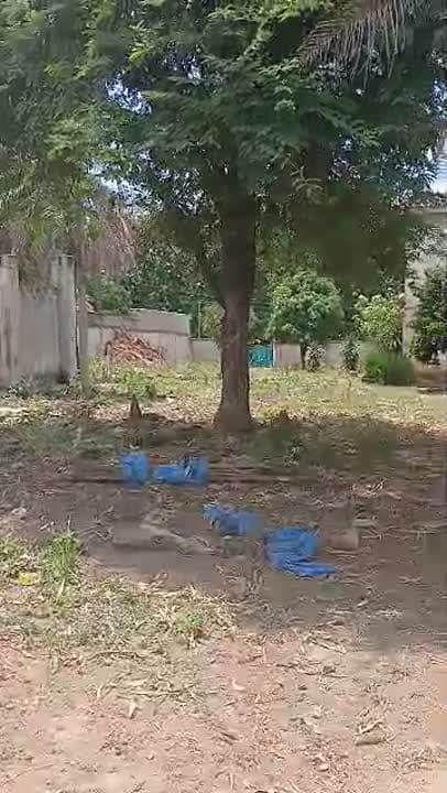 Terrain de 4000 m² à vendre à Commerce